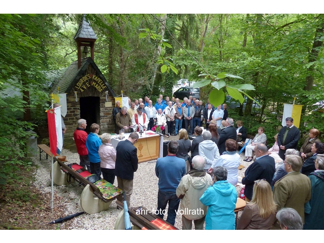 pwf-2015_008