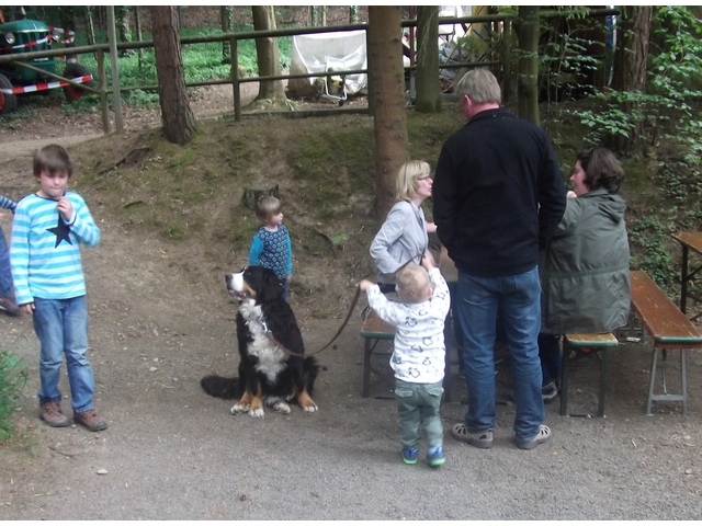 pwf-2015_045