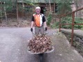 Tag_der_Arbeit_31